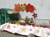 Sommerfest